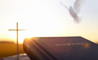 Sunlight behind cross and Bible with a dove flying above